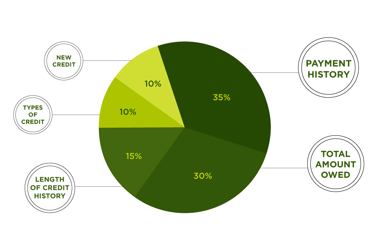 What You Should Know About the Three Reporting Companies